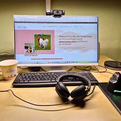 Online-Beratung