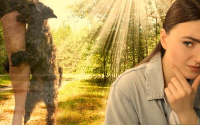 Zwischen Erwartung + Realität – Warum Dein Hund kein Abbild der Gesellschaft sein muss