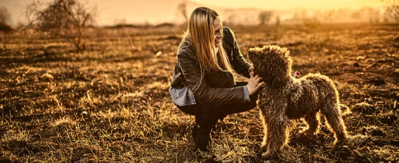 Warum bewusste Zeit das größte Geschenk für Deinen Hund (und Dich) ist
