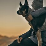 Hüter der Verbindung zwischen Mensch und Hund.